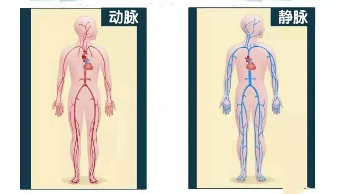 下肢静脉曲张