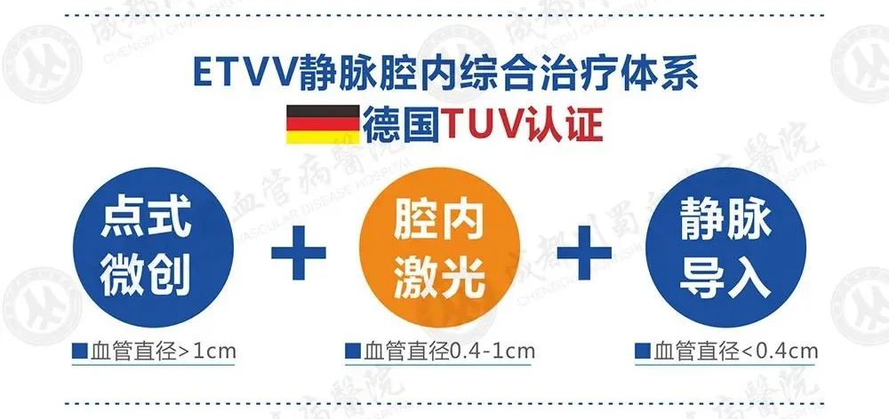 ETVV静脉腔内综合治疗体系